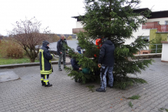 Baumstellen 2016