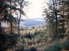 felsen