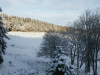 DSC08750