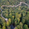 Baumwipfelweg Bad Camberg