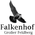 Falkenhof Feldberg